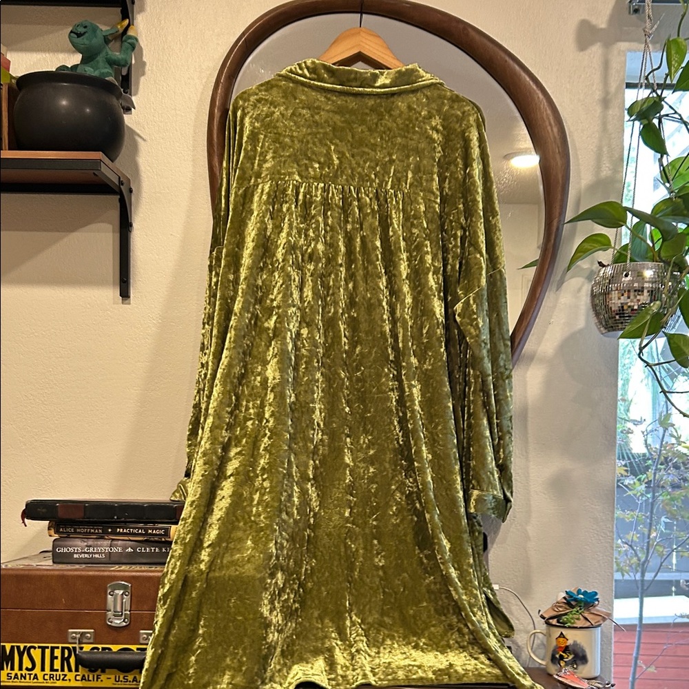 Green Velvet Button-Up Shirt Dress - Picture 5 of 6